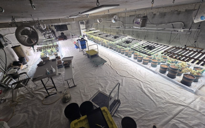 비닐하우스 아래 지하벙커에 조성된 마약재배시설. 마약범죄 정부합동수사본부 제공