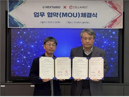 셀라메스·넥스트앤바이오, 뇌 오가노이드 생산·품질관리 협력 - 뉴스 썸네일 이미지