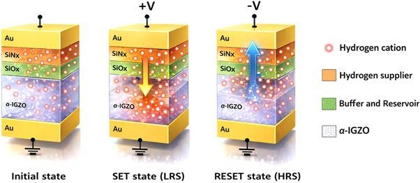 2단자 수소제어형 인공지능 반도체 소자 모식도. 양(+) 전압을 가하면 수소가 공급층에서 반도체로 이동해 전도도가 높아지고, 음() 전압을 가하면 다시 저장층으로 이동해 전도도가 낮아진다. 이 과정이 전압의 강도와 횟수에 따라 달라지면서 아날로그형 다중 저항 구현이 가능하다. 연구팀 제공