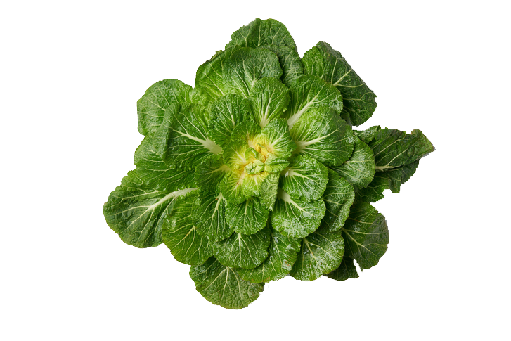 봄동. 게티이미지뱅크