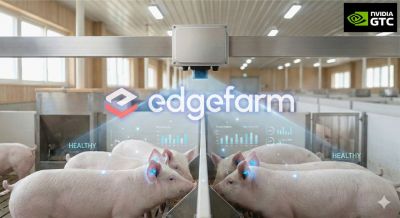 AI 축산 관리 솔루션 ‘엣지팜(edgefarm)’이 양돈 농가에서 가축의 활동량과 건강 상태를 분석하는 모습. 인트플로우 제공.