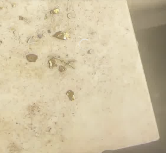 오리 위장에서 발견된 금 조각. SCMP