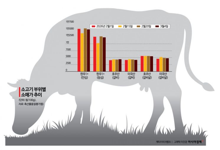 사육수 줄고 환율 오르고…소고기값 천정부지