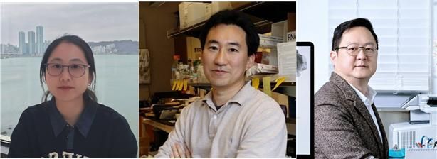 (왼쪽부터) UCSD 생명과학과 정민주 박사, UCSD 생명과학과 임병국 교수,   KAIST 뇌인지과학과 백세범 석좌교수. KAIST