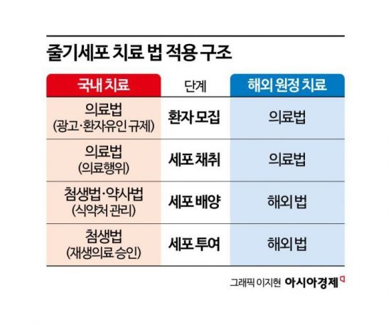 [단독]복지부 "'일본에서 줄기세포 치료' 바이오기업, 불법 소지"