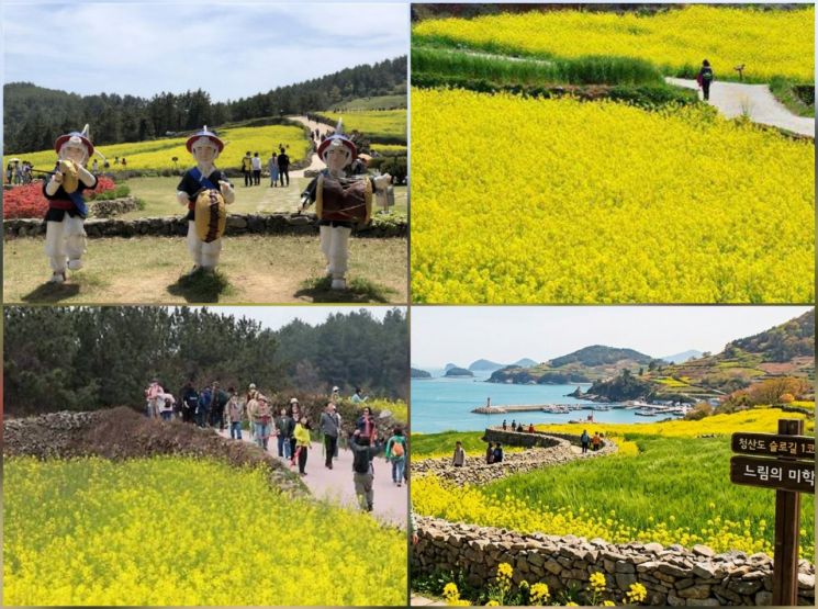 “2026 靑山岛慢行徒步庆典”被评价为在守护亚洲首座慢城身份、践行可持续旅游方面的模范案例。莞岛郡提供