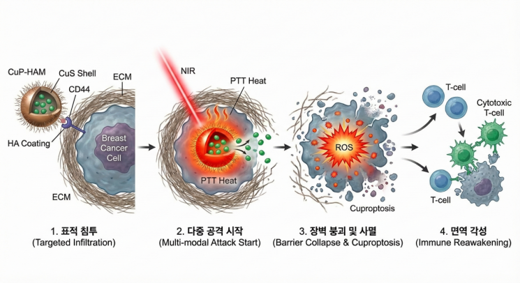 전남대, 삼중음성 유방암 획기적 치료 나노 전달체 개발 - 뉴스 썸네일 이미지