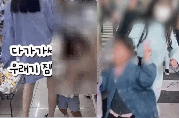 일본에서 보행자에게 일부러 몸을 부딪치는 이른바 '부츠카리(ぶつかり)' 행위가 도마 위에 올랐다. SNS 갈무리.