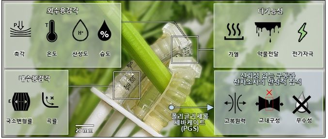 완전 퇴비화 가능한 소프트 로봇 시스템. 연구팀 제공