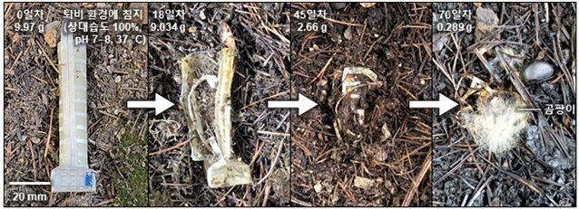 소프트 로봇 손가락의 생분해 과정. 연구팀 제공
