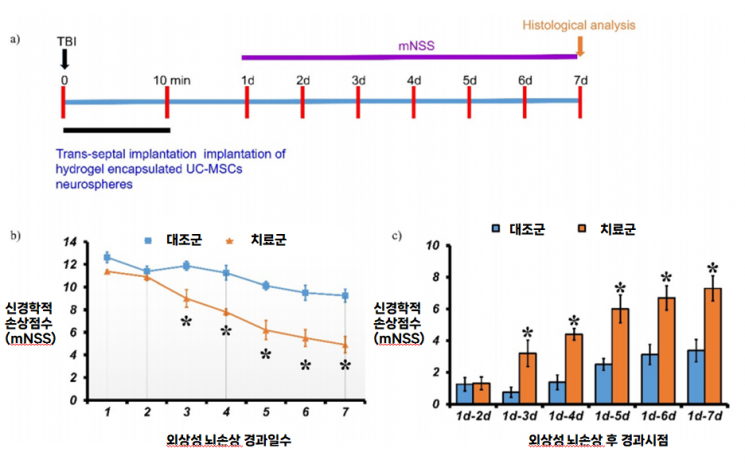 通过鼻腔给药的干细胞治疗剂疗效对比实验图表。翰林大学提供