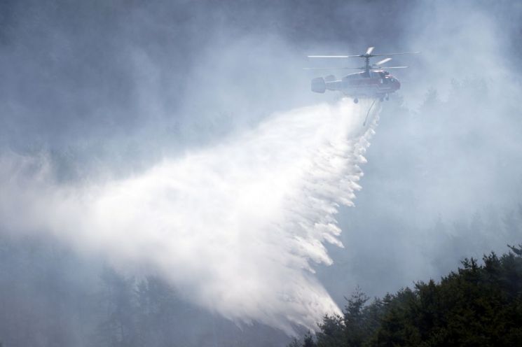 함양군 산불 진화 현장 사진