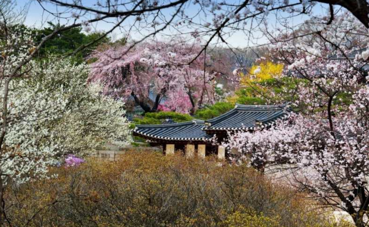 Panoramic View of Nakseonjae Area at Changdeokgung Palace