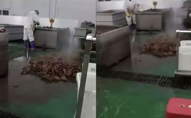 궁차이 치엔청뚜 생산 공장 내부. 웨이보 캡처