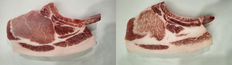 The 'Don Mahawk' (right) from Nanchukmatdon, carefully trimmed to enjoy with gabrisal, sirloin, and pork belly together, and the Don Mahawk cut from a regular pig. Rural Development Administration