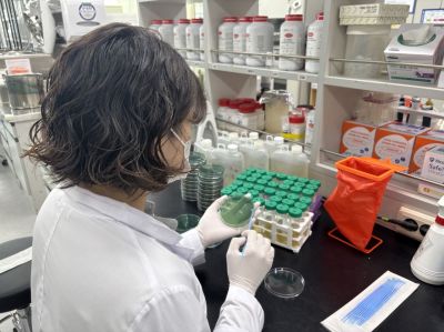 영광 갯벌에서 올해 첫 비브리오패혈증균이 검출됐다. 전남도 제공