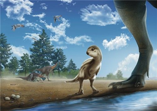 Illustration of the young Doolysaurus huhmini. Photo by Jun Seong Yi, Yonhap News Agency