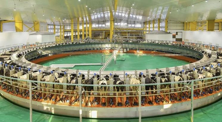 카타르의 기후는 목축업에 적합하지 않다. 대신 카타르는 천문학적인 자본을 투자해 인공 목장을 설립했다. 발라드나 홈페이지