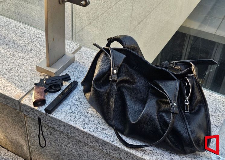 방탄소년단(BTS)의 컴백 공연을 앞둔 21일 오후 5시25분께 서울 종로구 KT광화문빌딩 서관 앞 검문소에서 50대 여성이 금속탐지기를 통과하려다 가스총과 전기충격기를 적발당했다. 이지예 기자