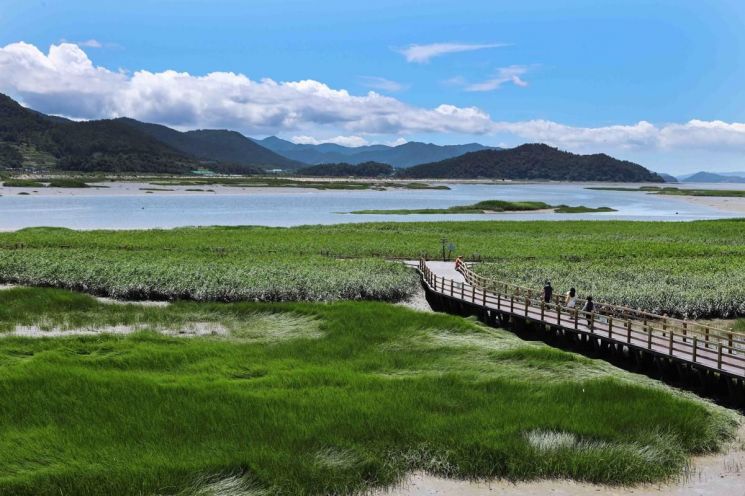 전남 강진군 강진만생태공원 전경. 강진을 찾는 여행객의 경비를 지역화폐로 환급해주는 '강진 반값여행'은 1인당 3만원 이상 소비 시 최대 10만원, 2인 이상 팀은 5만원 이상 소비 시 최대 20만원까지 돌려주는 정책으로, 전국적으로 주목받은 관광정책 성공 사례로 꼽힌다. 사진=강진군