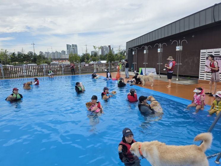 반려동물 수영 문화교실(멍푸멍푸) 현장. 시흥시 제공