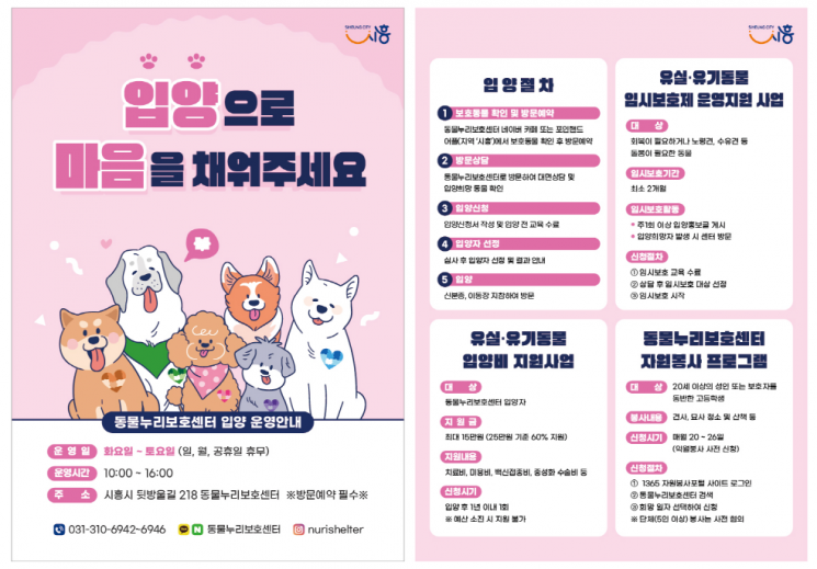 반려동물 입양 홍보 전단. 시흥시 제공