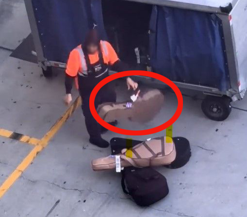 공개된 영상에는 공항 직원이 이동식 수하물 운반대에서 기타 케이스를 꺼낸 뒤 바닥에 던지듯 내려놓으며 적재하는 장면이 담겼다. X(엑스)