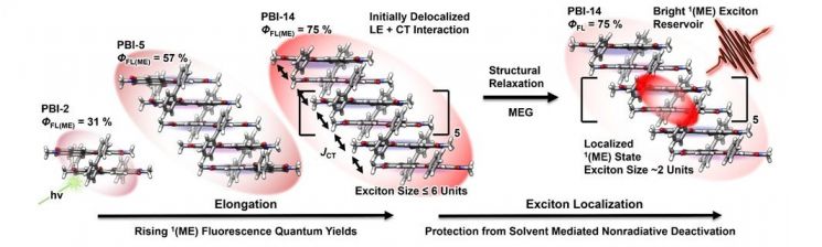 분자의 길이가 길어질수록 빛 에너지 이동 방식이 변화하는 엑시톤 거동 모식도. 연구팀 제공