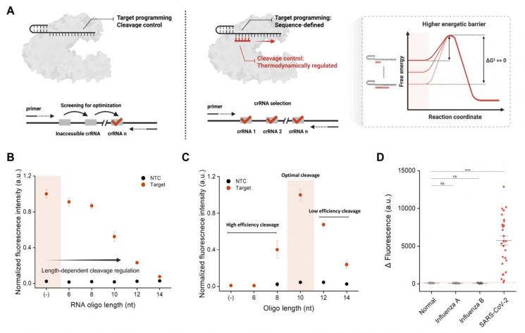 유전자 가위(CRISPR) 기반 차세대 맞춤형 진단 플랫폼. GIST 제공