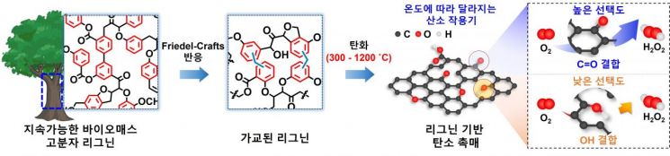 리그닌 기반 탄소 촉매 제조 및 과산화수소 생성 선택성 제어 개념도. 지속가능한 바이오폴리머 리그닌을 가교·탄화해 탄소 촉매를 제조하고, 탄화 온도에 따라 표면 산소 작용기 구성을 조절하는 과정을 나타낸다. 표면의 C=O 작용기는 과산화수소 선택성을 높이고, OH 작용기는 선택성을 낮추는 것으로 확인됐다. KIST 제공