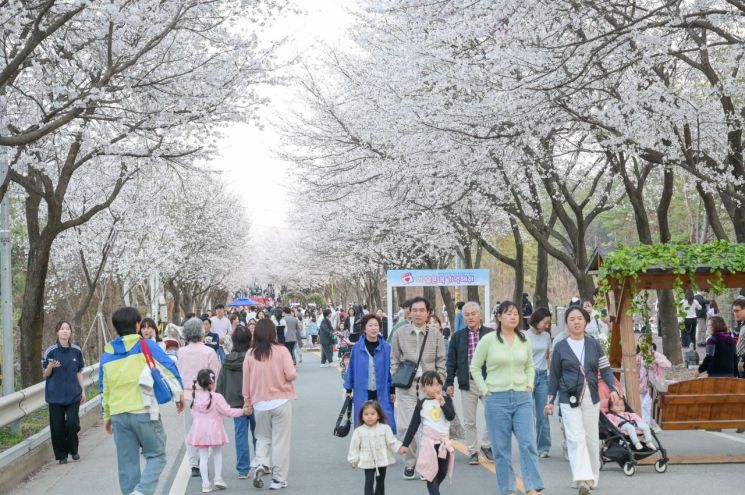 2025 흥천 벚꽃축제 모습. 여주시 제공