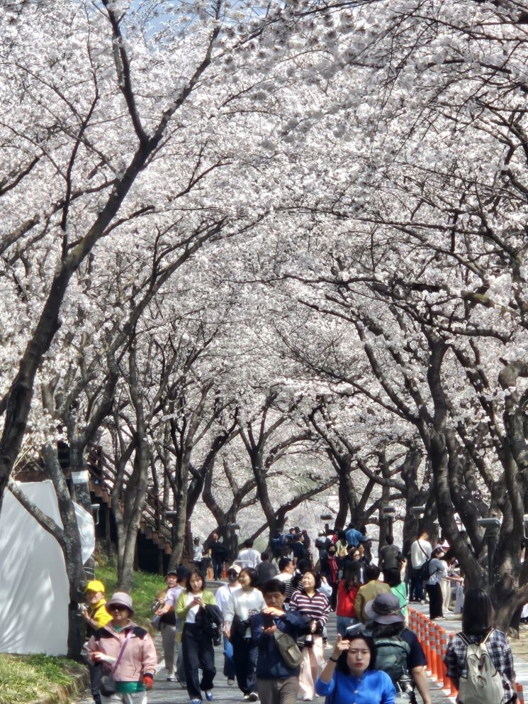 하동 구례 여행 코스 확인하기