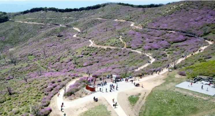합천군, 황매산 무장애길 전경 사진