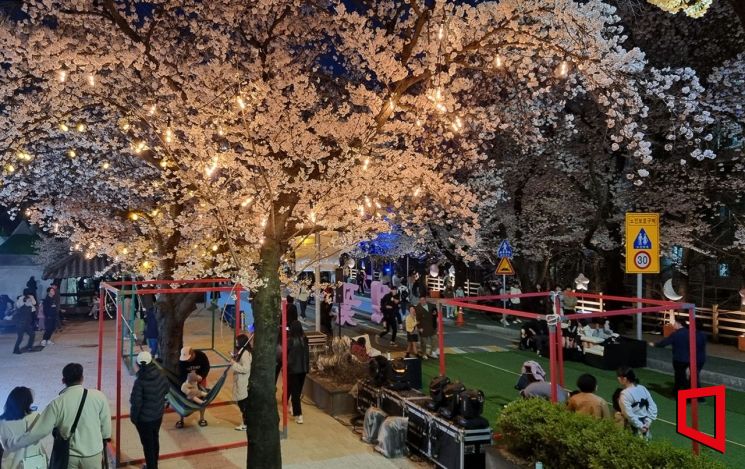 낙동강변 벚꽃길서 4월 1~5일 봄밤 낭만 선사