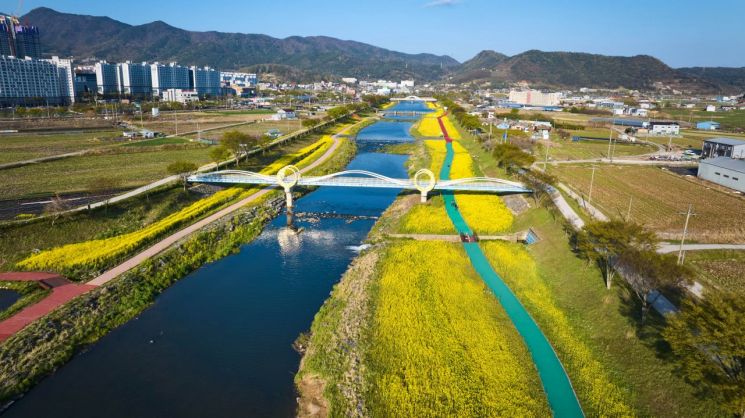 黄浪翻涌的和顺花江路庆典场油菜花园全景。和顺郡提供