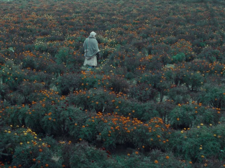 Movie still cut of 'Songaji Doll'