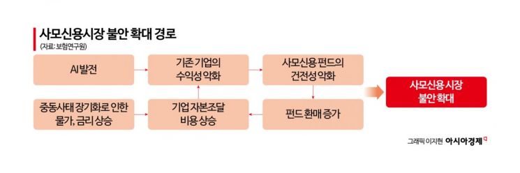 "사모신용 불안 확산…보험사, 투자 리스크 관리 강화해야"