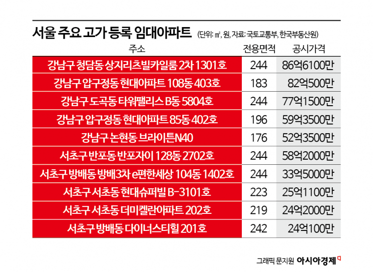 초고가 등록임대 아파트 절반이상 대출규제 '무풍지대'[부동산AtoZ]