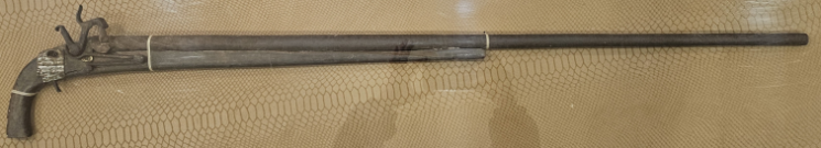 120년 전 병오 홍주의병 항거 뜻 이어간다