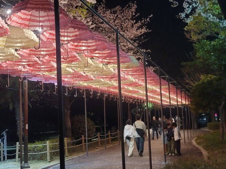 물금벚꽃축제 양산의 하늘아래. 양산시 제공