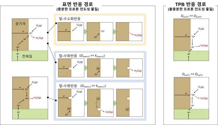 프로톤 세라믹 연료전지 공기극에서 일어날 수 있는 반응 경로 모색도. 프로톤 세라믹 연료전지의 공기극은 공기극 소재의 특성에 따라 다양한 반응경로가 존재할 수 있다. 이런한 다양한 가능성으로 공기극 반응기작을 명확히 규명하는 것이 어렵다. 연구팀 제공