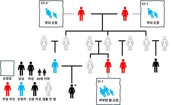 삼국시대 임당-조영 고분군에서 확인된 일부 가계도. 무덤 주인 간 친족 관계와 가족 단위 순장 사례를 도식화했으며, 사촌 간 근친혼으로 태어난 여성 개체도 포함됐다. 회색 인물은 발굴되지 않았지만 유전적 관계를 바탕으로 추정한 인물이다. 연구진 제공