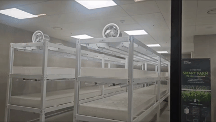 오티에르반포 커뮤니티 시설에 갖춰진 수경재배시설 스마트팜. 이지은 기자