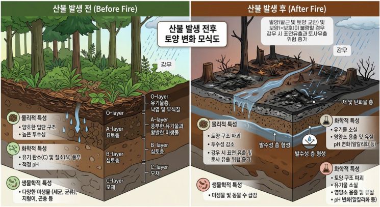 山火受灾地区山火发生前后土壤变化（由人工智能生成）。韩国地质资源研究院提供