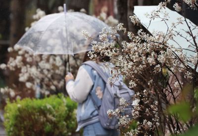 10일 광주와 전남 지역은 오전까지 20~80㎜ 수준의 강수가 이어질 것으로 예보됐다. 사진은 9일 서울 광화문 광장에서 시민들이 우산을 들고 있는 모습. 연합뉴스