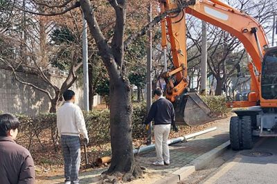 광주 서구는 인도 위 전주·통신주 정비 나선다. 광주 서구청 제공
