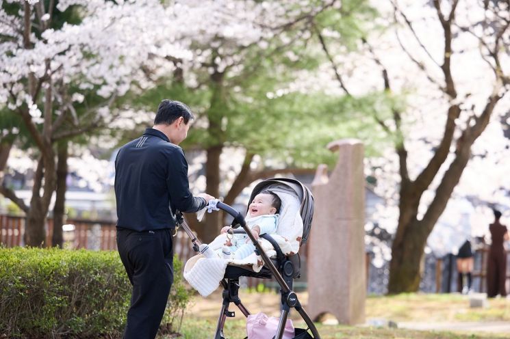 充满艺术气息的杨州市立张旭镇美术馆一带樱花正值盛放期。杨州市提供