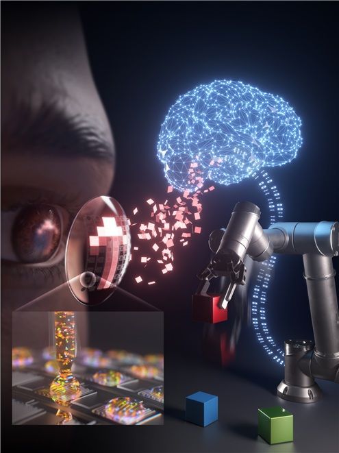 눈짓만으로 로봇 팔 움직인다…AI 스마트 콘택트렌즈 개발[과학을읽다]