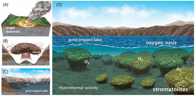 운석 충돌로 형성된 합천 충돌구가 열수작용으로 고온·고염 호수로 진화하고, 가장자리에서 스트로마톨라이트가 성장하며 산소를 생성한 뒤, 열수 활동이 약해지면서 현재의 지형과 식생으로 변화하는 과정을 순차적으로 나타낸 개념도. KIGAM 제공