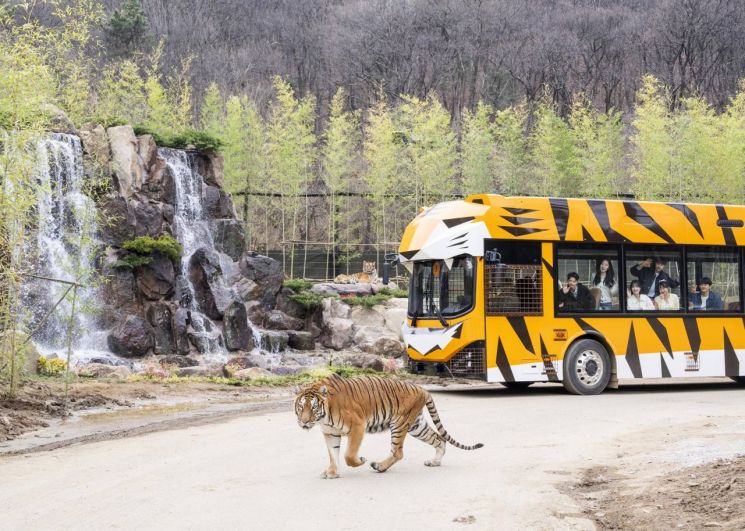 4월 1일 오픈한 에버랜드 '사파리월드 더 와일드'. 삼성물산